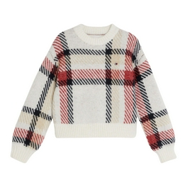 Overview image: Tommy Hilfiger Trui met ruit