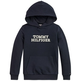 Overview image: Tommy Hilfiger Hoodie