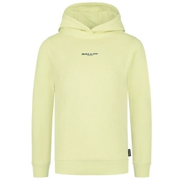 Overview image: Ballin Amsterdam Hoodie